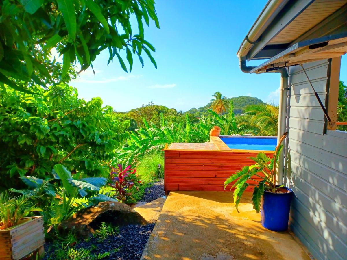 Des Caraibes Hébergement de vacances *